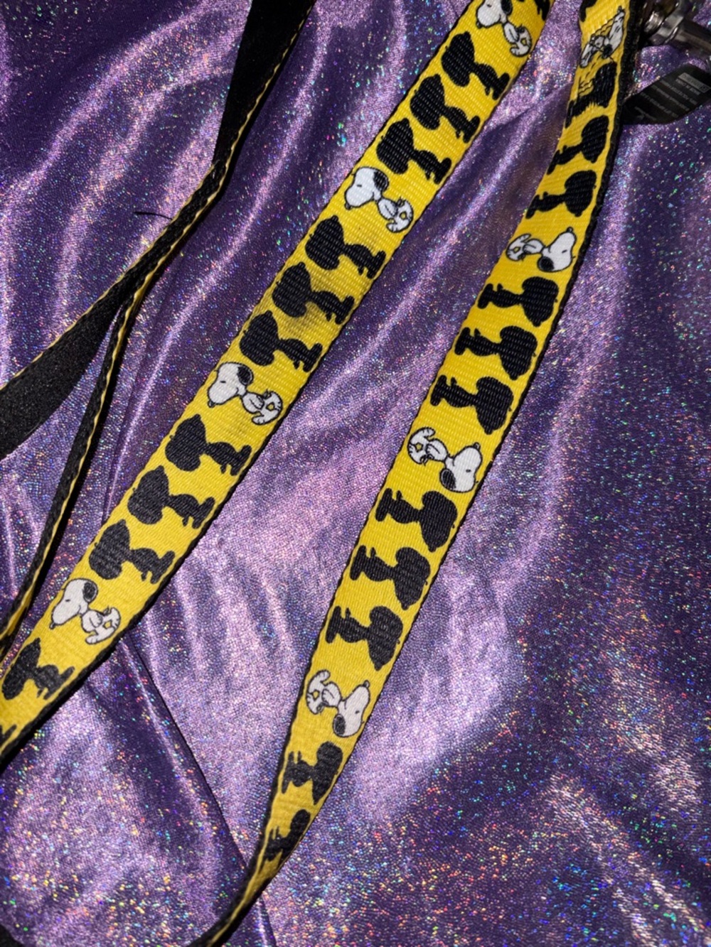 Snoopy Dog Leash